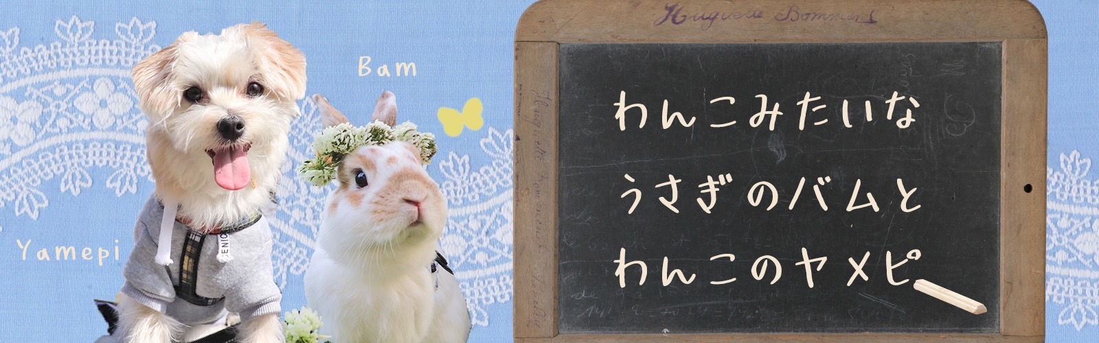 わんこみたいなうさぎのバムとわんこのヤメピ