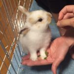 7歳のお誕生日を迎えたよ