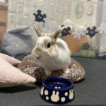 それってぼくのだけど！？