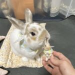 ぼくのもの〜！